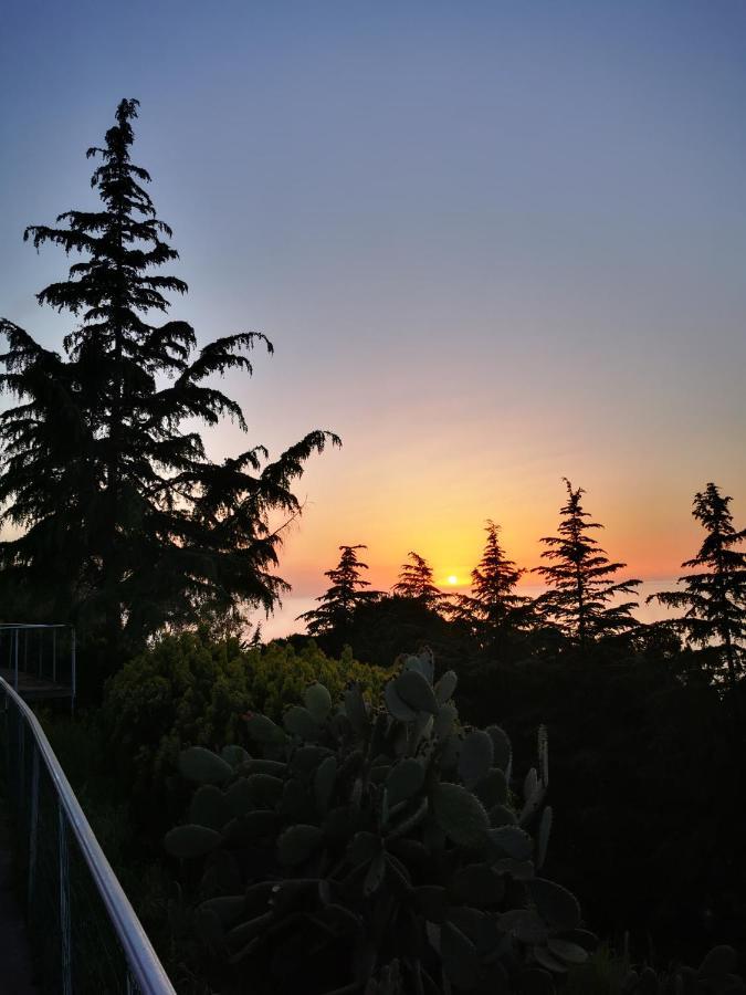 Villetta Sul Mare แอคเควโดลชิ ภายนอก รูปภาพ